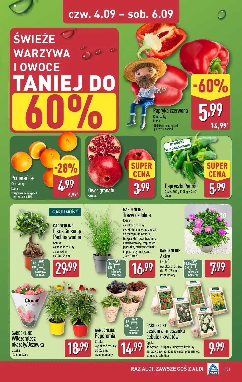 gazetka promocyjna ALDI Raz ALDI, zawsze coś z ALDI - Strona 31