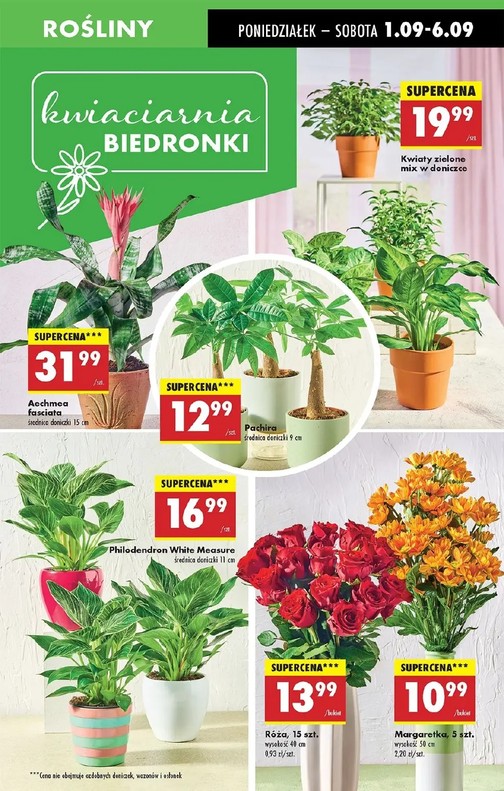 gazetka promocyjna Biedronka Lada tradycyjna. Od poniedziałku - Strona 17