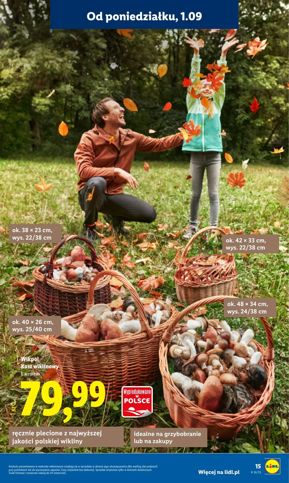 gazetka promocyjna LIDL Katalog okazji - Strona 17