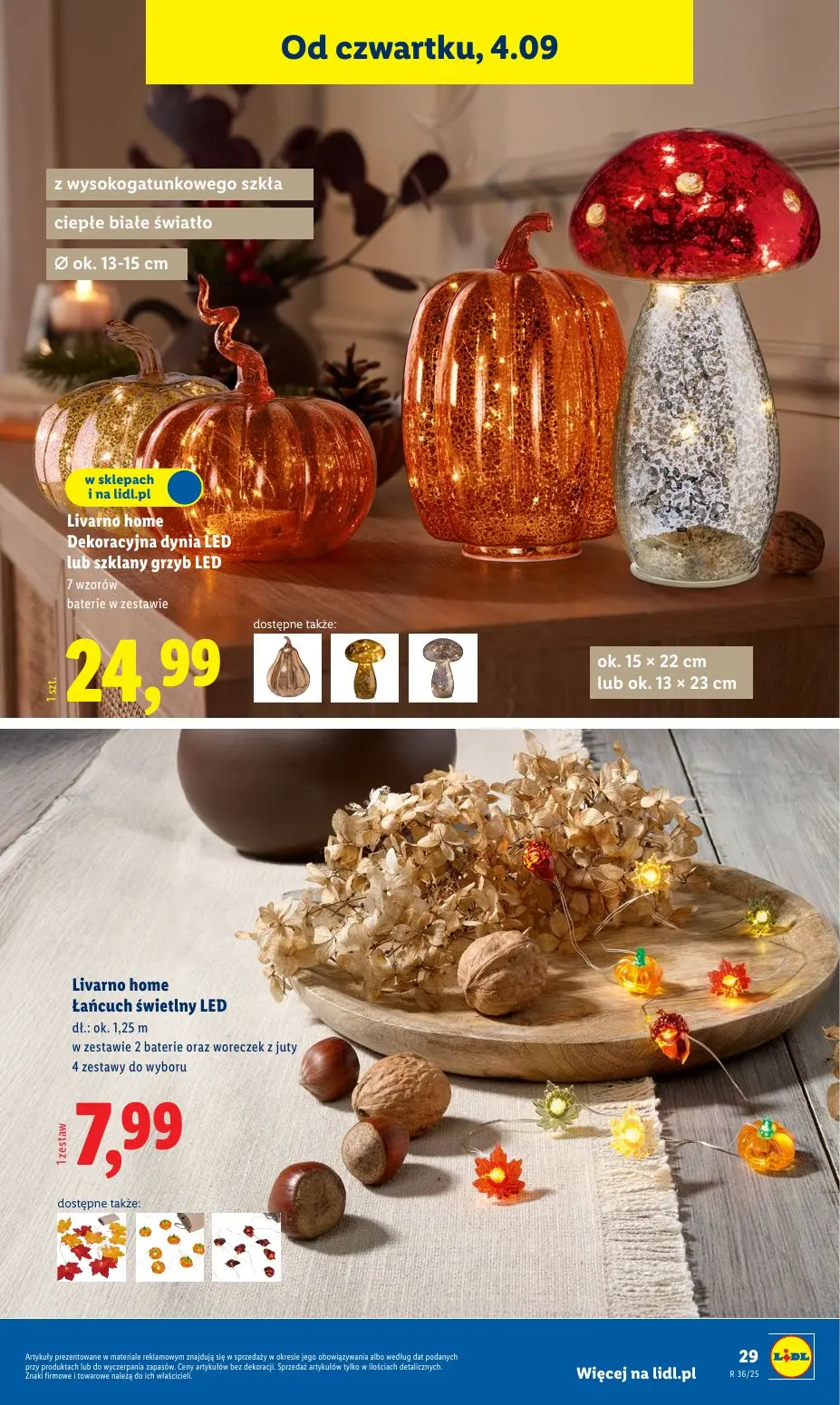 gazetka promocyjna LIDL Katalog okazji - Strona 31