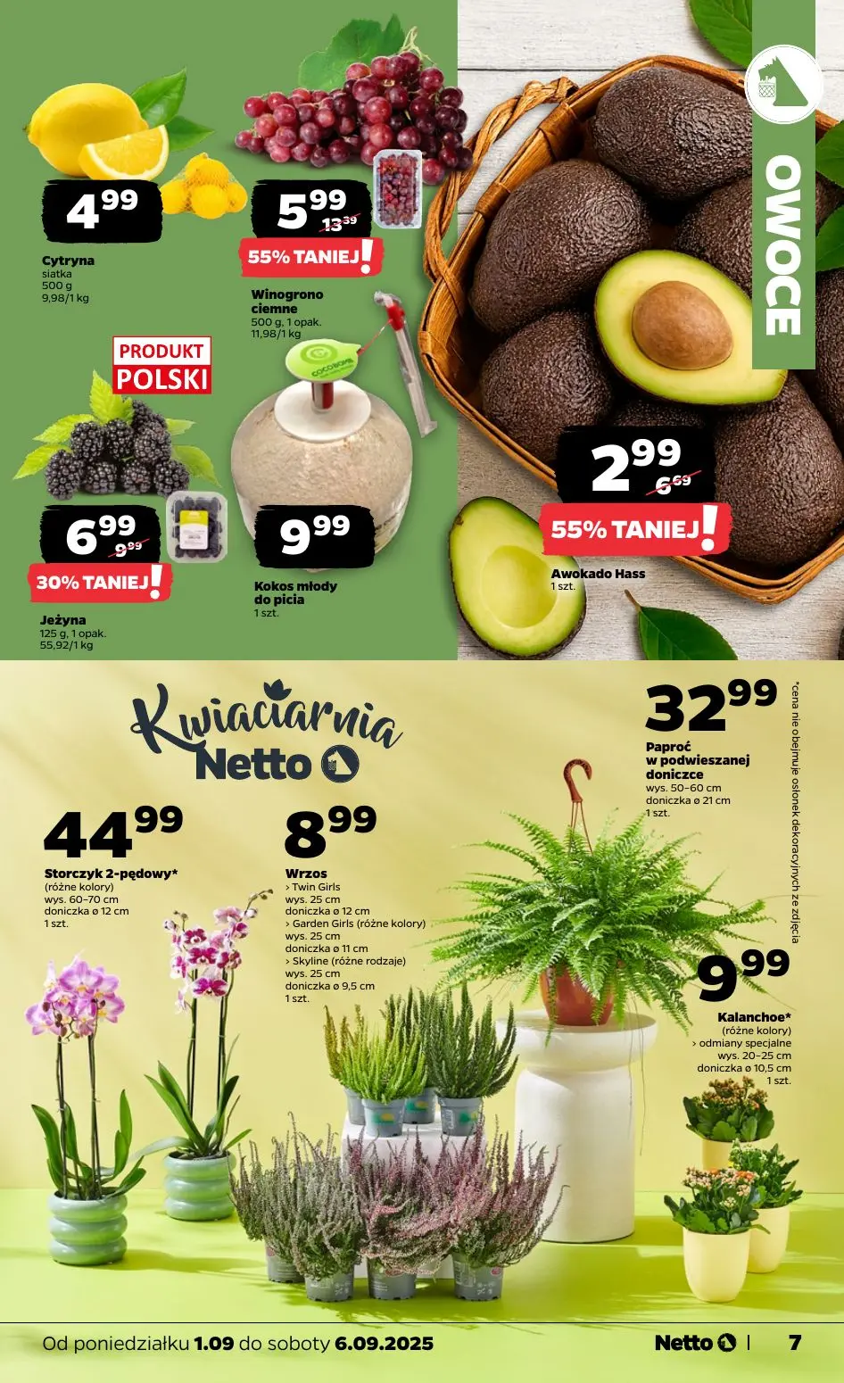 gazetka promocyjna NETTO Proste oszczędności - Strona 7