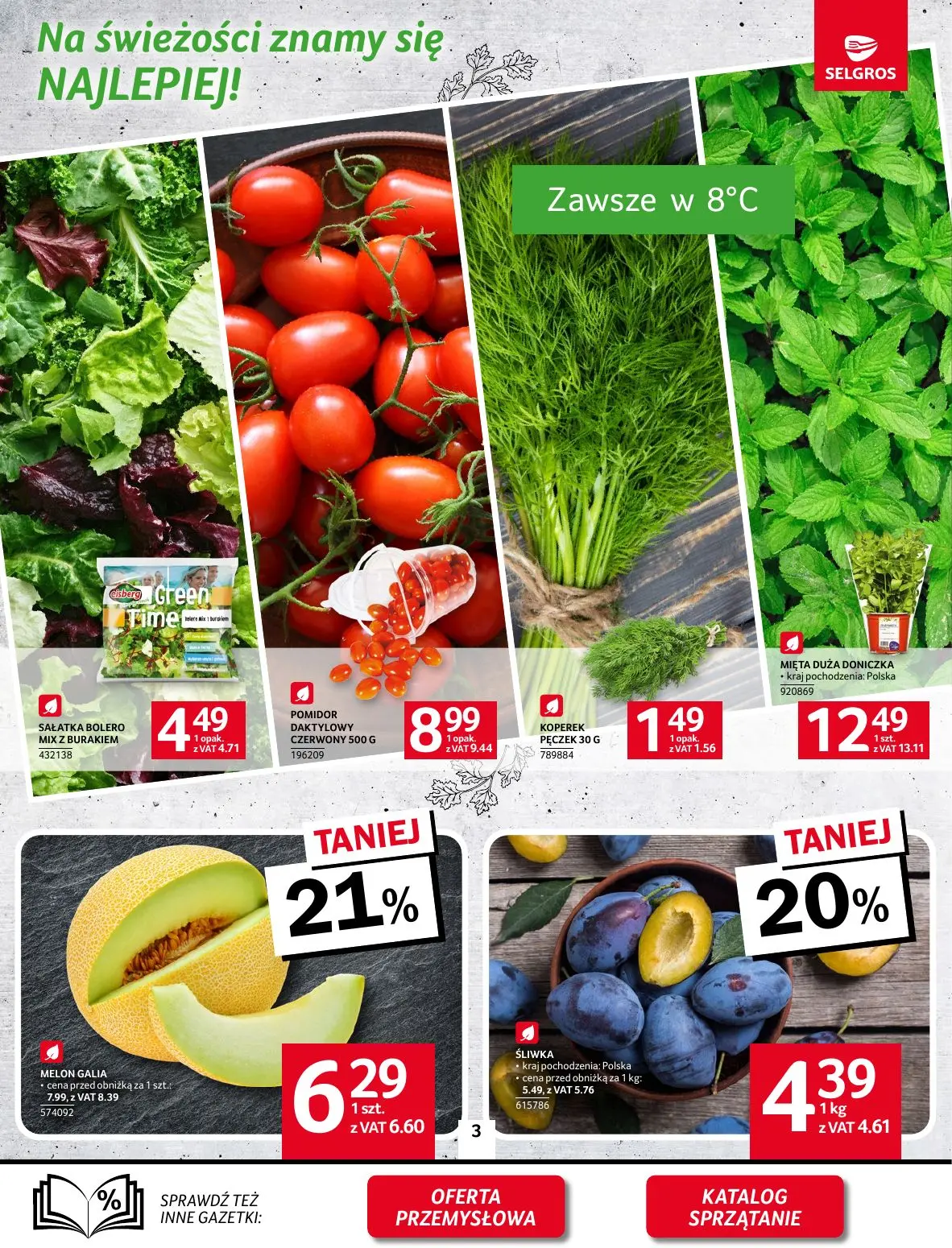 gazetka promocyjna SELGROS Oferta Spożywcza - Strona 3