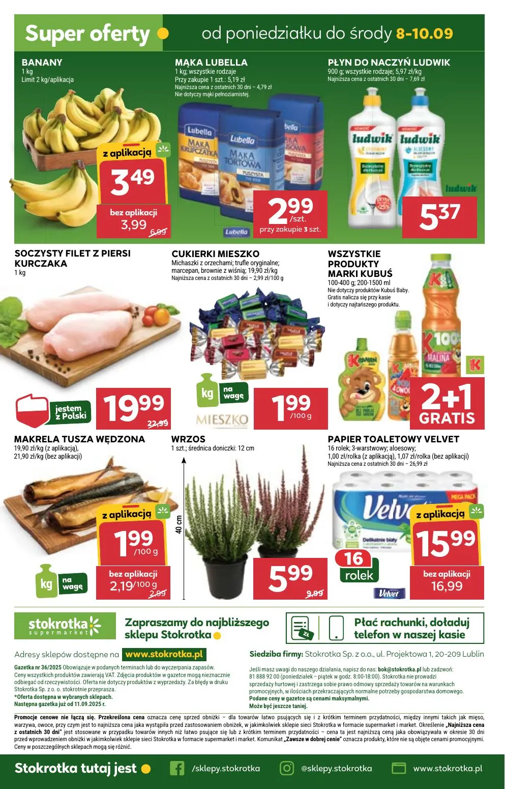 gazetka promocyjna Stokrotka Supermarket Od czwartku - Strona 42
