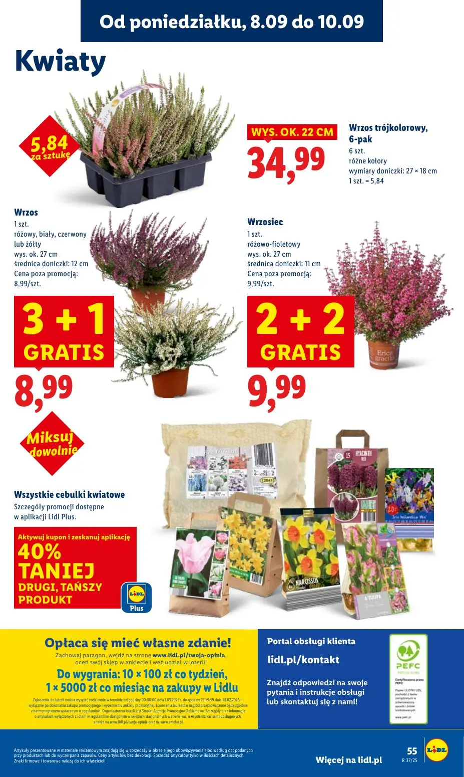 gazetka promocyjna LIDL Od poniedziałku - Strona 61
