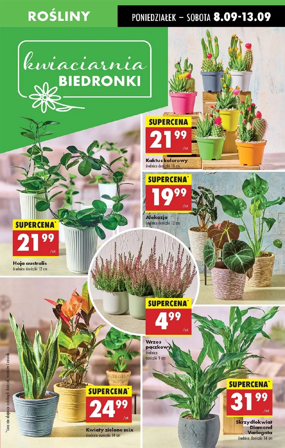 gazetka promocyjna Biedronka Od poniedziałku - Strona 19