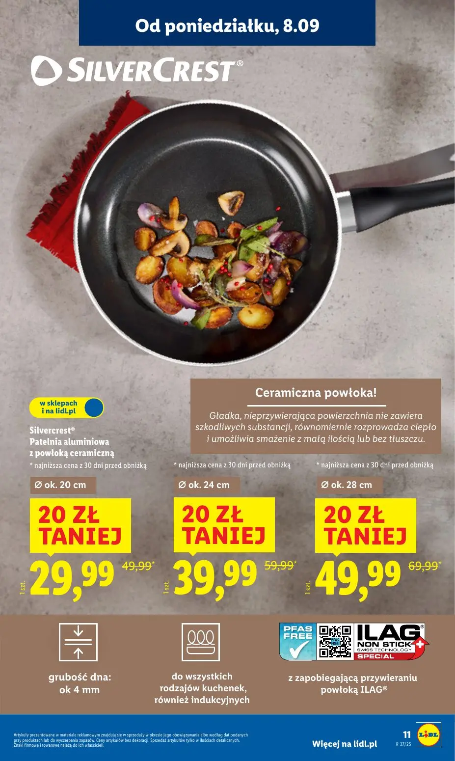 gazetka promocyjna LIDL Zrób to sam! - Strona 13