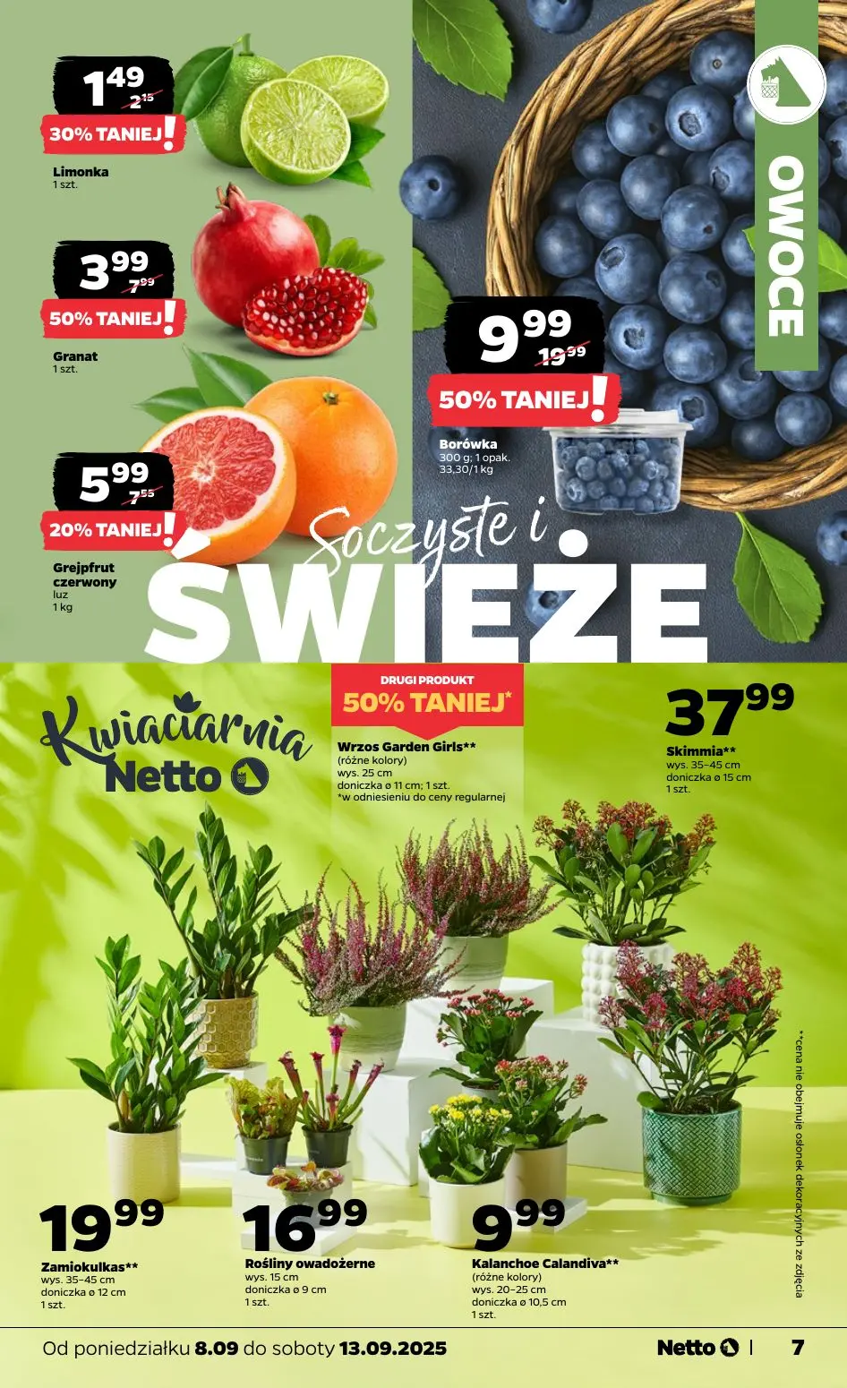 gazetka promocyjna NETTO Tanio i świeżo - Strona 7