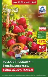 Gazetka promocyjna ALDI, ważna od 2025-09-11 do 2025-09-13.