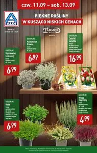 Gazetka promocyjna ALDI, ważna od 2025-09-11 do 2025-09-13.