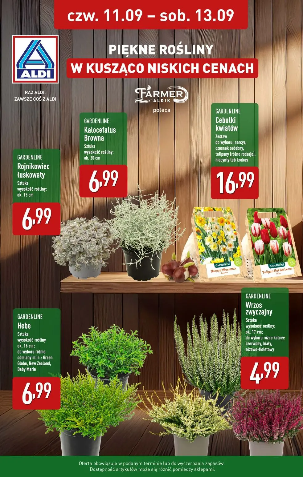 gazetka promocyjna ALDI Piękne rośliny - Strona 1