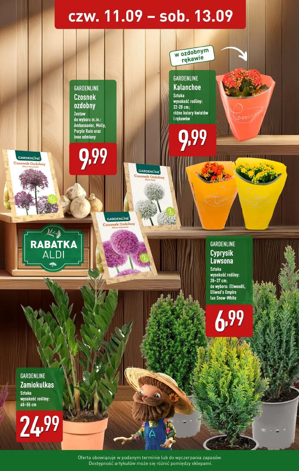 gazetka promocyjna ALDI Piękne rośliny - Strona 2