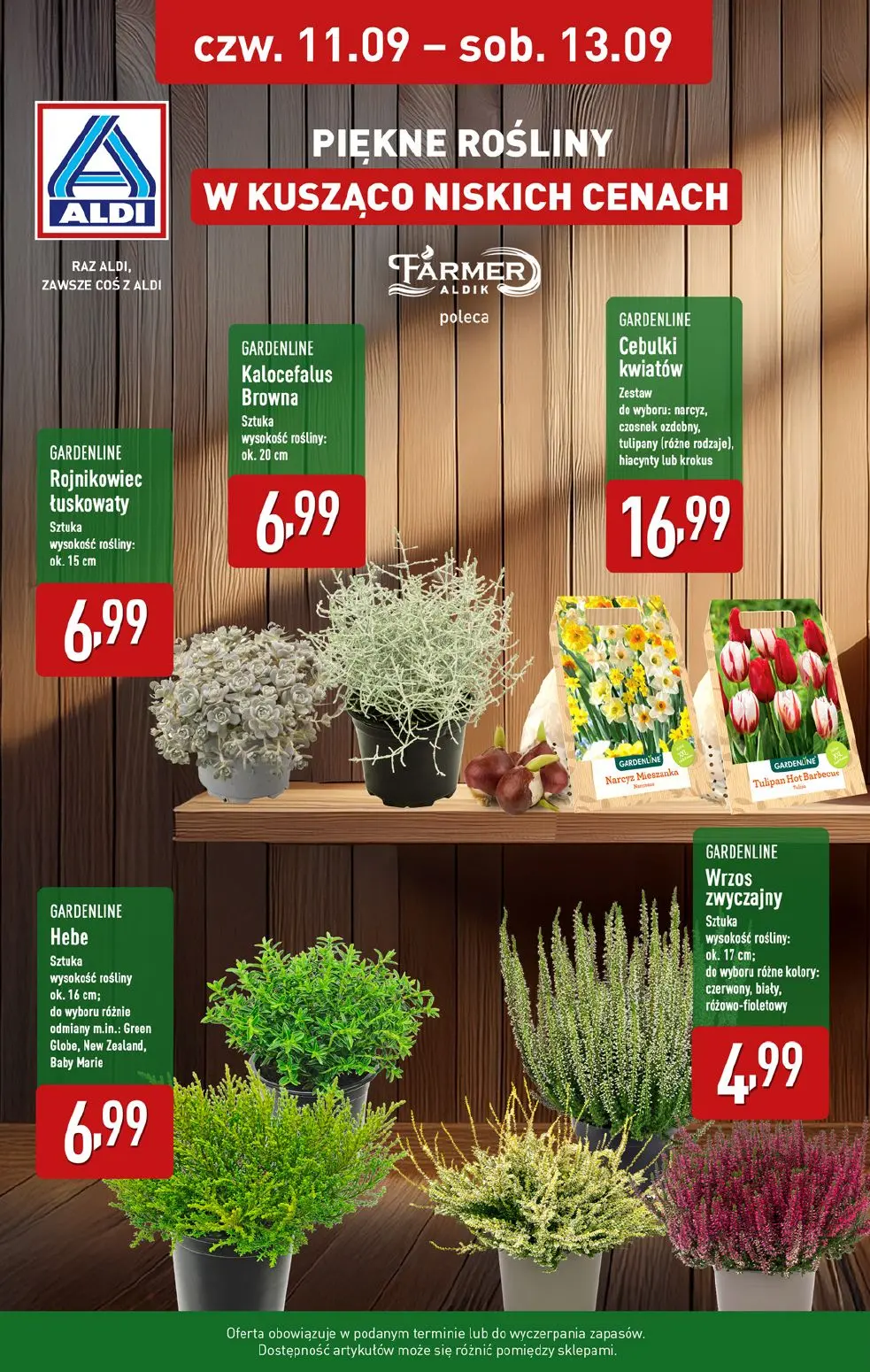 gazetka promocyjna ALDI Weekend super cen - Strona 8
