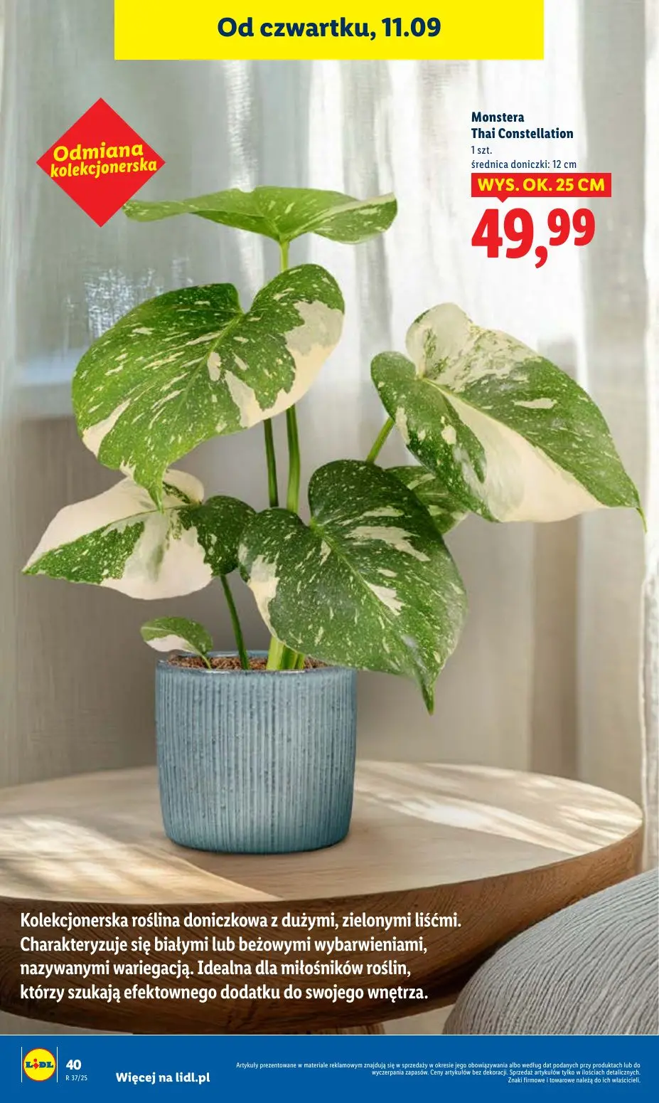 gazetka promocyjna LIDL Od czwartku - Strona 46