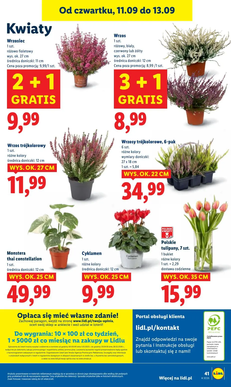 gazetka promocyjna LIDL Od czwartku - Strona 47
