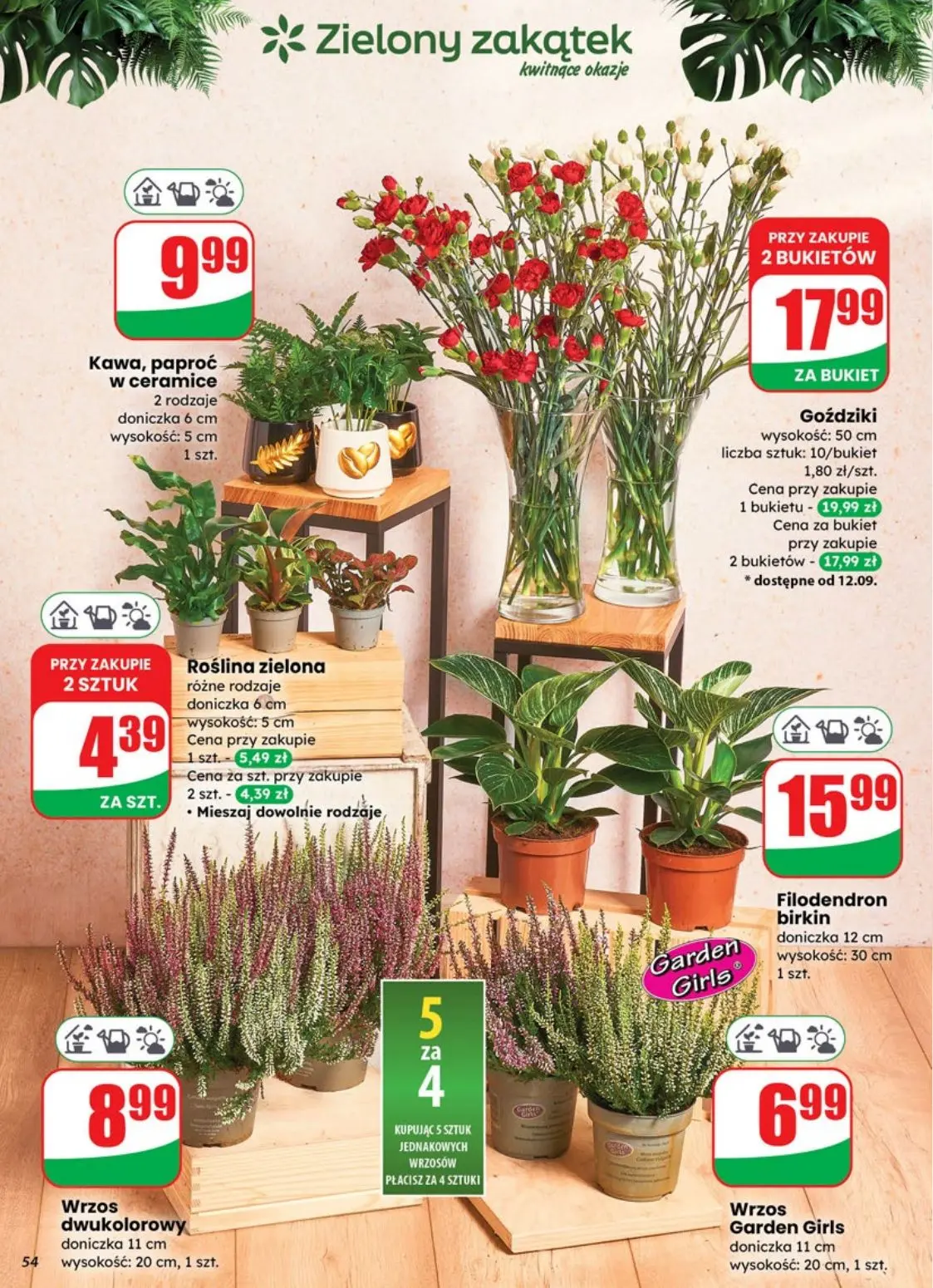 gazetka promocyjna dino Najbliżej Ciebie - Strona 54