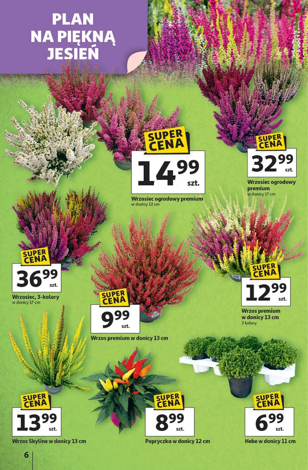 gazetka promocyjna Auchan Pewność niskich cen - Strona 6