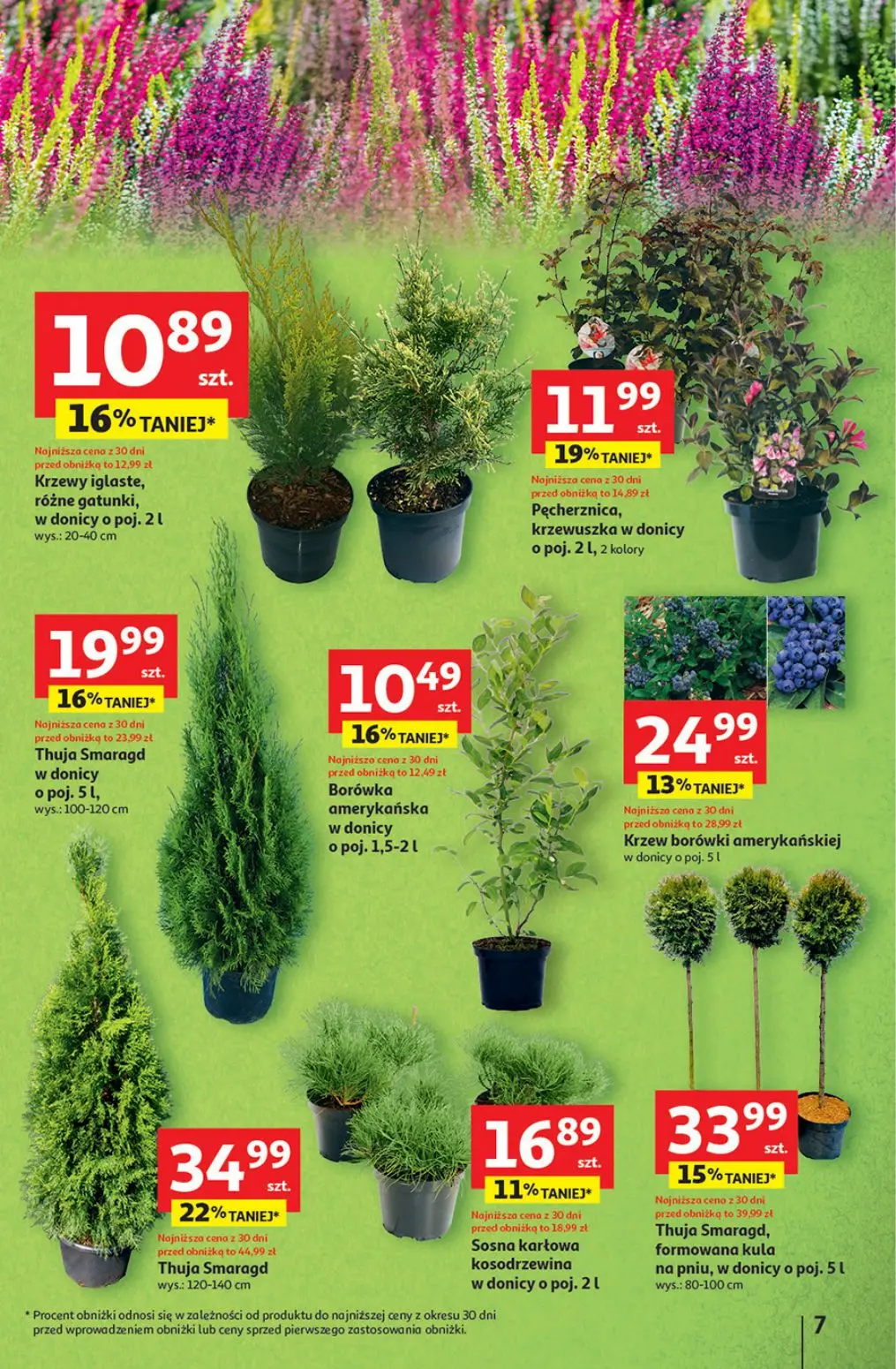 gazetka promocyjna Auchan Pewność niskich cen - Strona 7