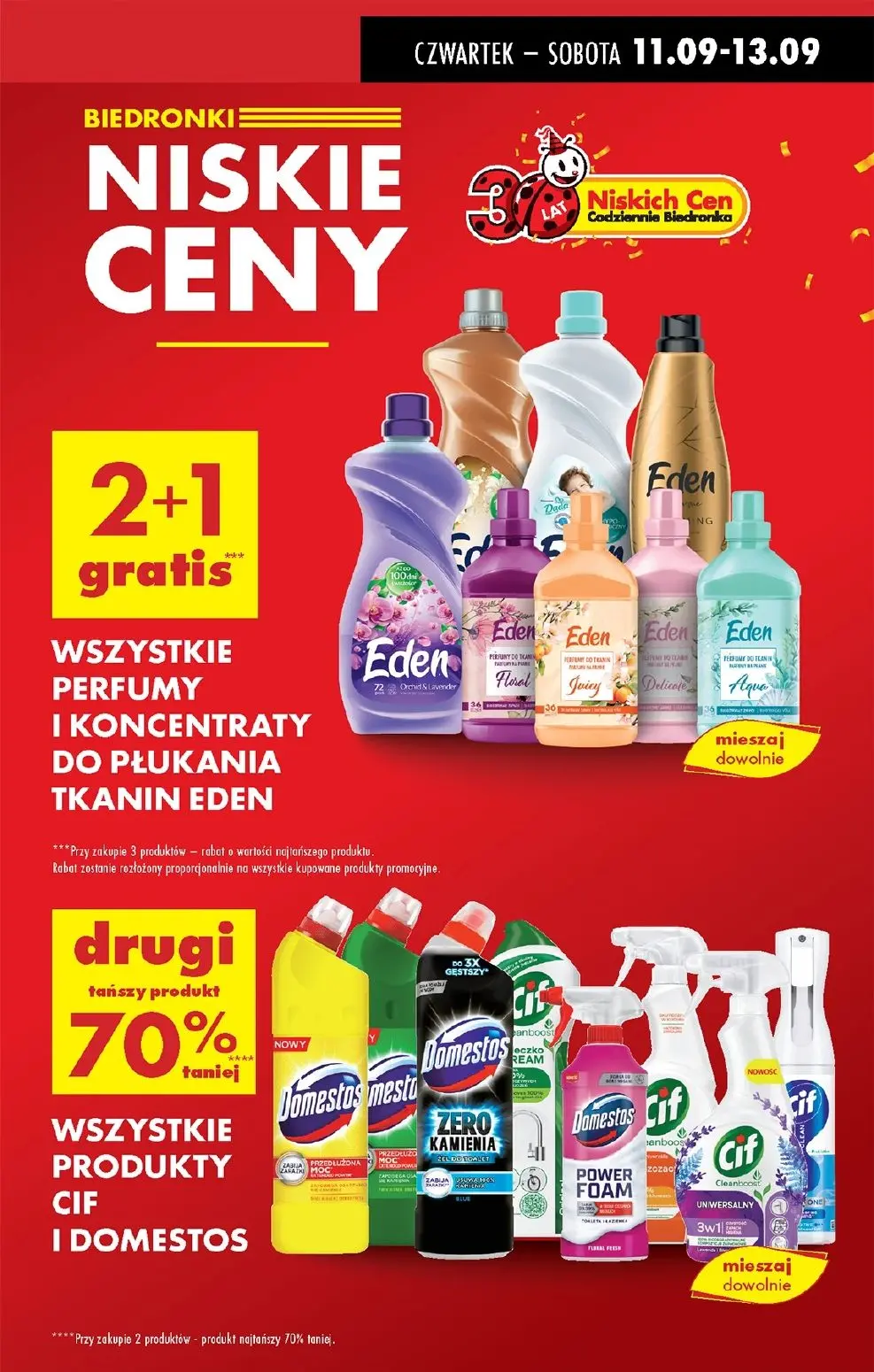 gazetka promocyjna Biedronka Lada tradycyjna. Od czwartku - Strona 15