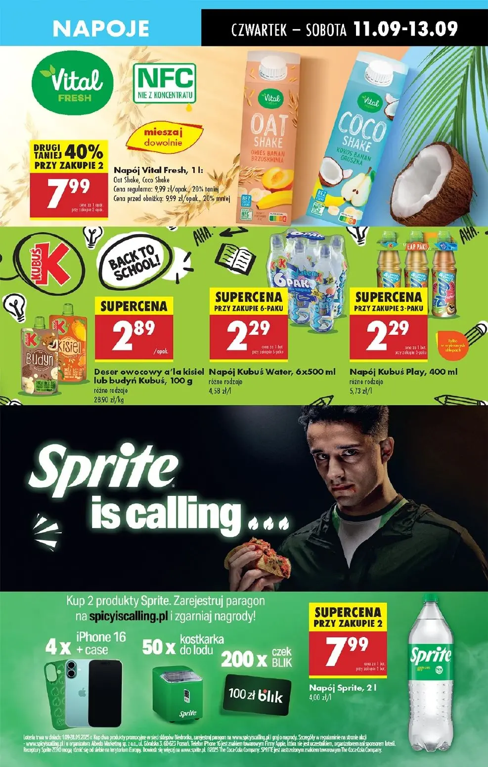 gazetka promocyjna Biedronka Lada tradycyjna. Od czwartku - Strona 49