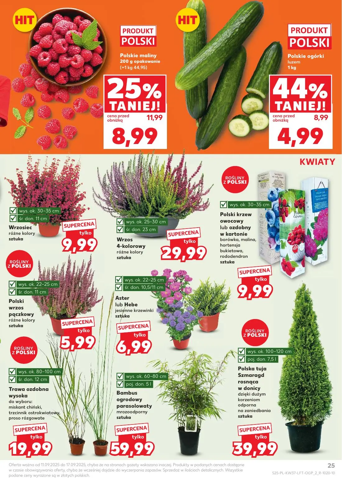 gazetka promocyjna Kaufland Od czwartku - Strona 25
