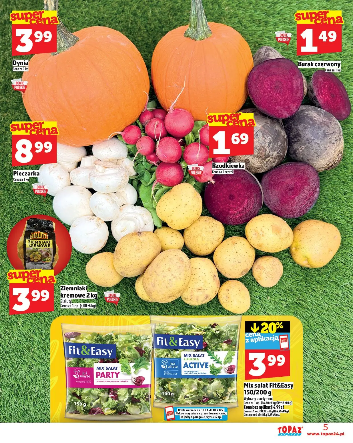 gazetka promocyjna Topaz Express - Strona 5
