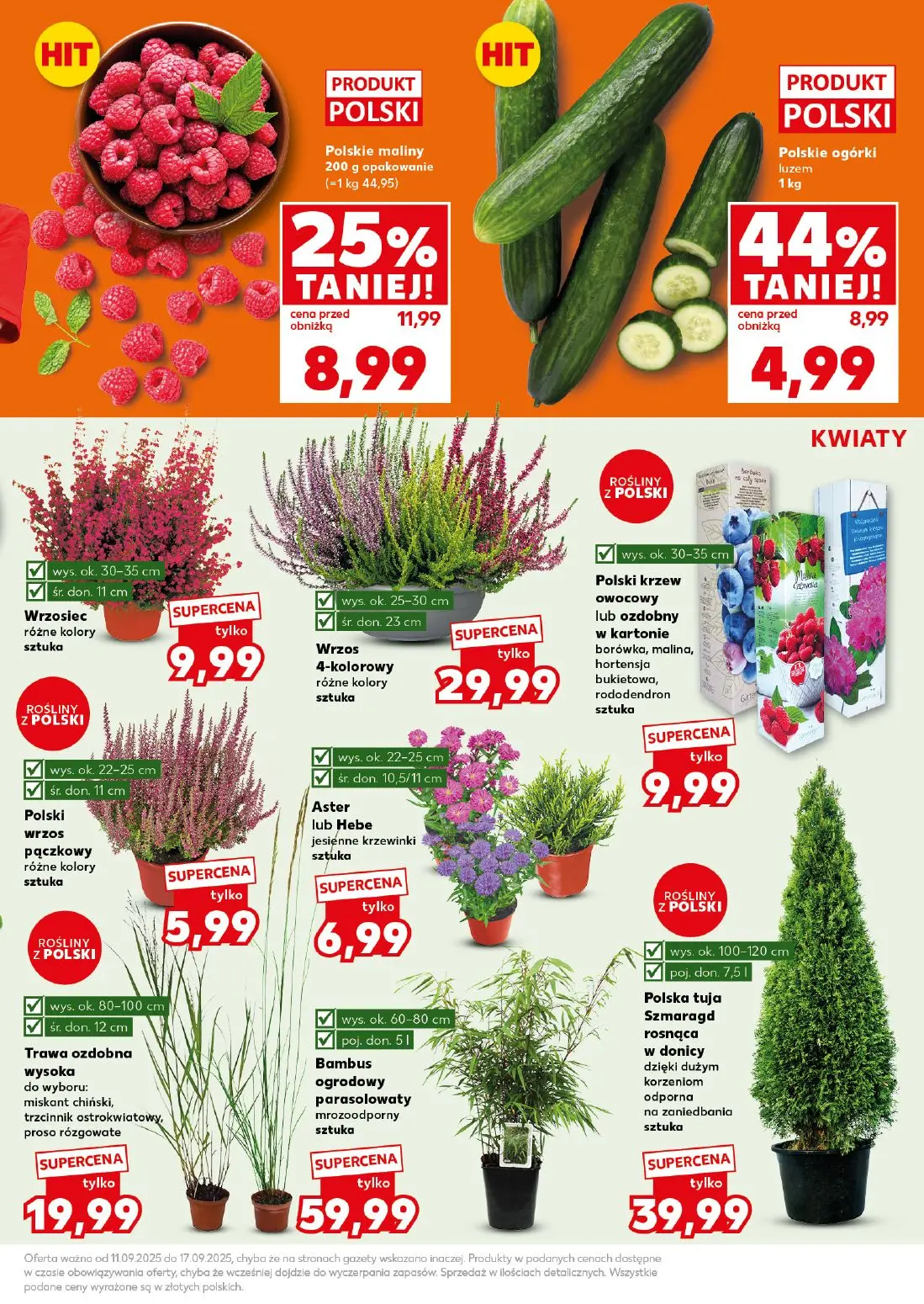gazetka promocyjna Kaufland Mocny Start - Strona 13