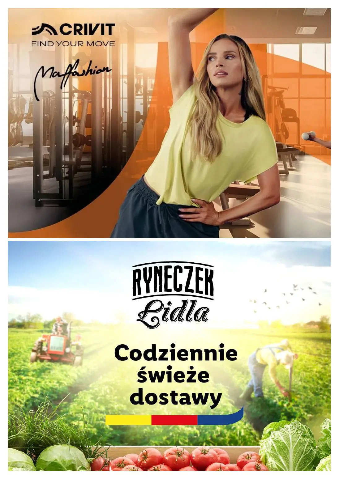 gazetka promocyjna LIDL Zakupy robię w moim Lidlu od poniedziałku - Strona 13