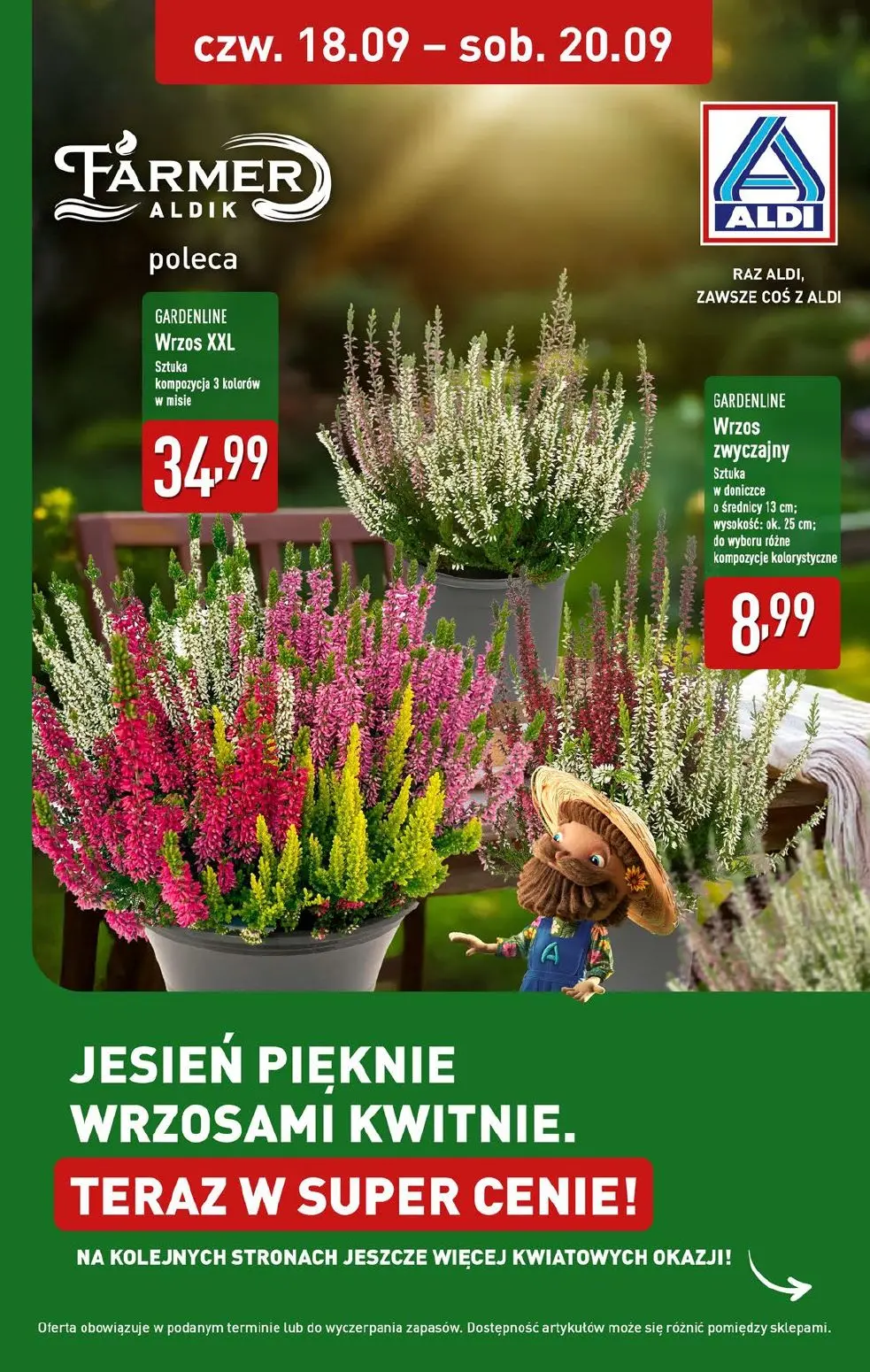 gazetka promocyjna ALDI Raz ALDI, zawsze coś z ALDI - Strona 33