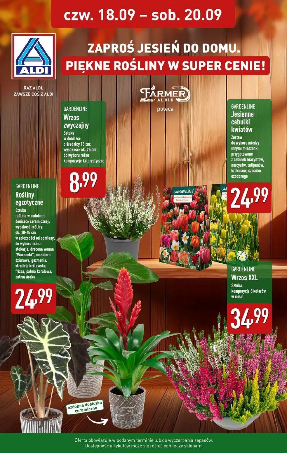 gazetka promocyjna ALDI Raz ALDI, zawsze coś z ALDI - Strona 34