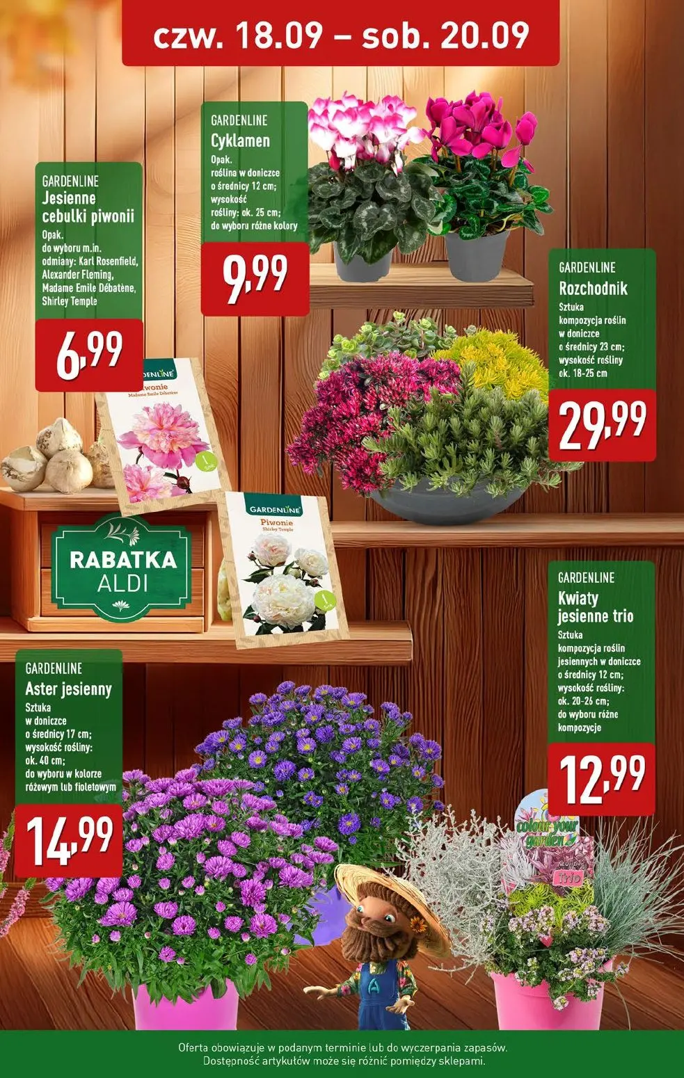 gazetka promocyjna ALDI Raz ALDI, zawsze coś z ALDI - Strona 35