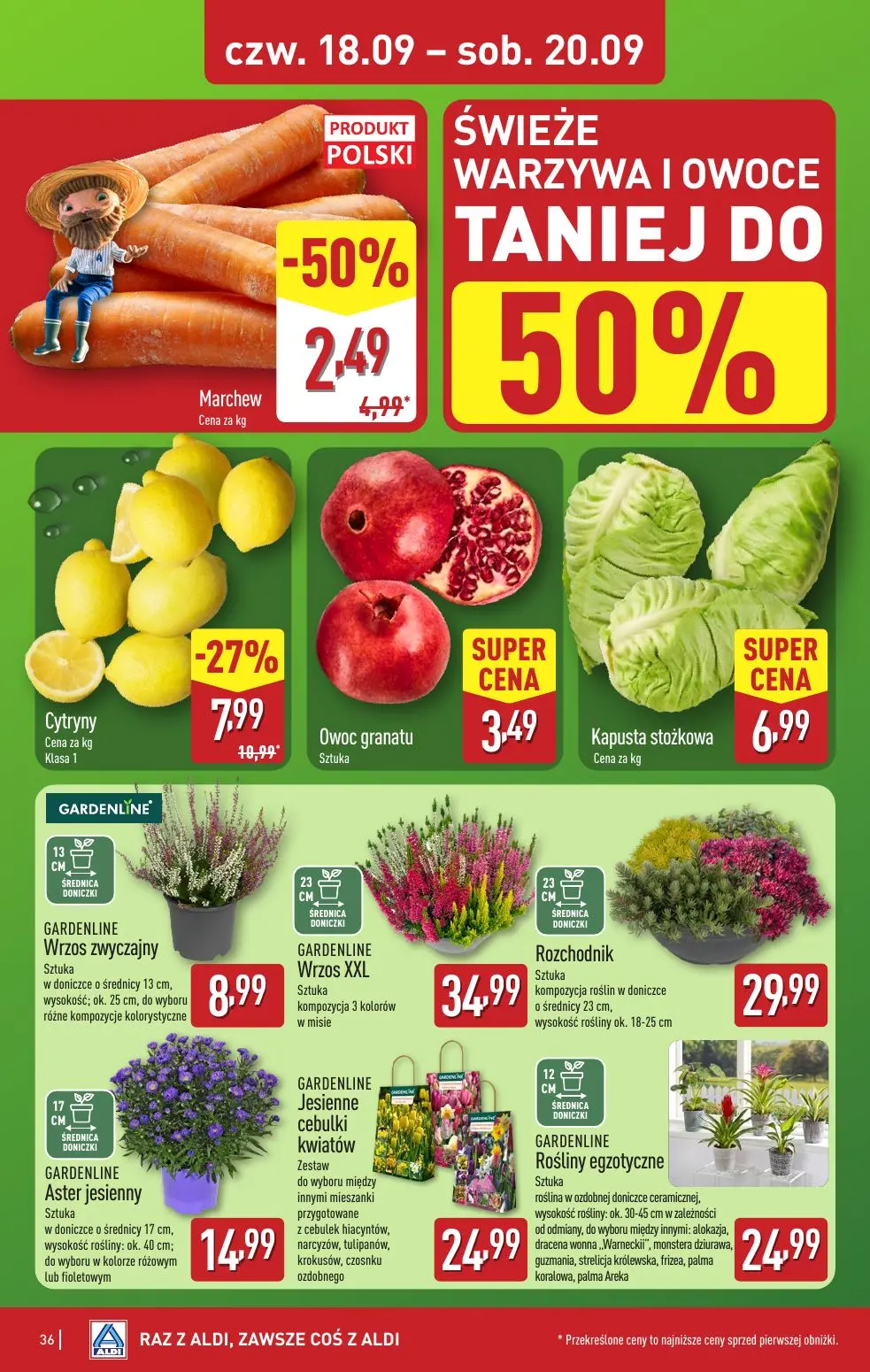 gazetka promocyjna ALDI Raz ALDI, zawsze coś z ALDI - Strona 36