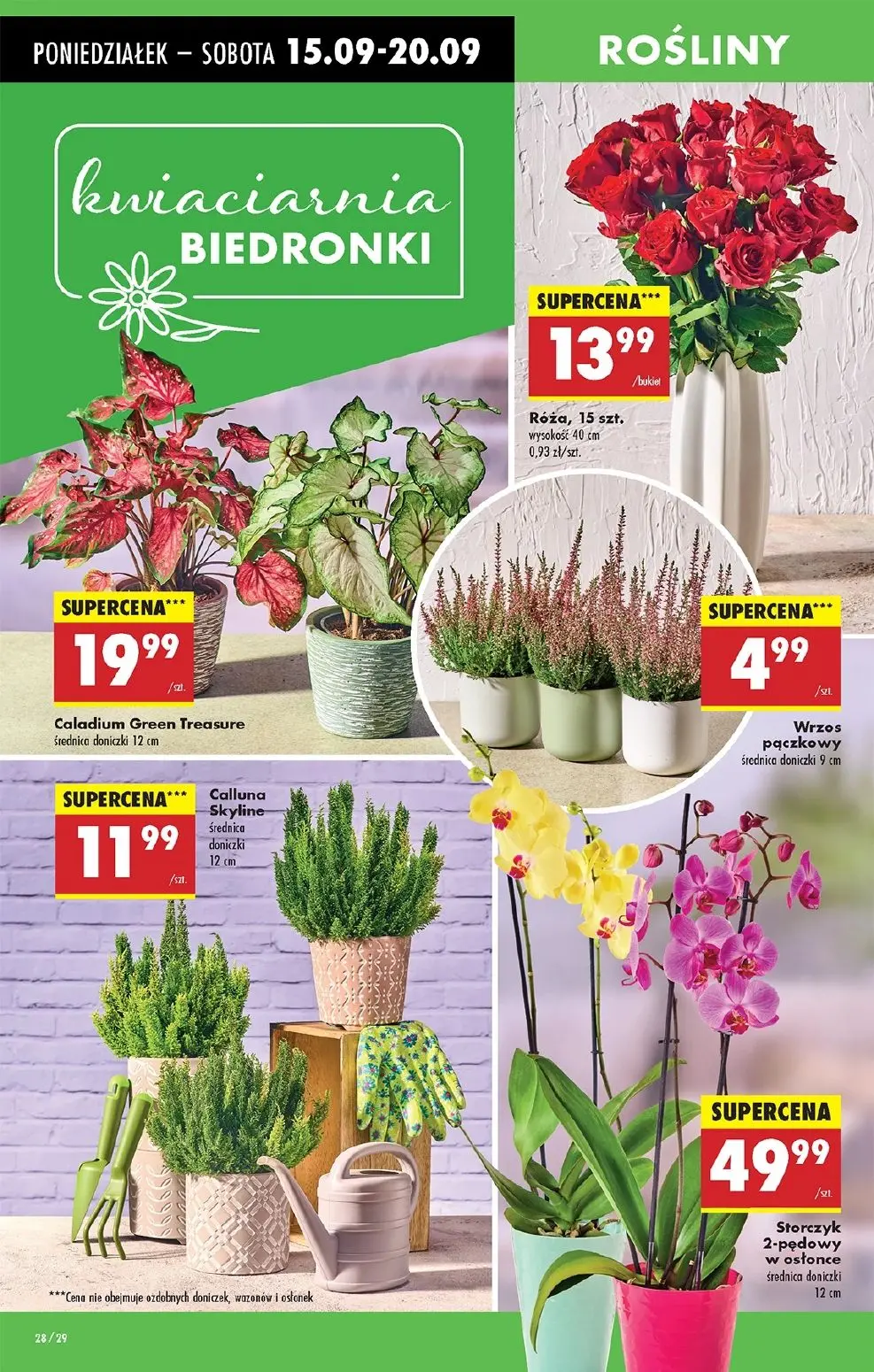 gazetka promocyjna Biedronka Lada tradycyjna. Od poniedziałku - Strona 32