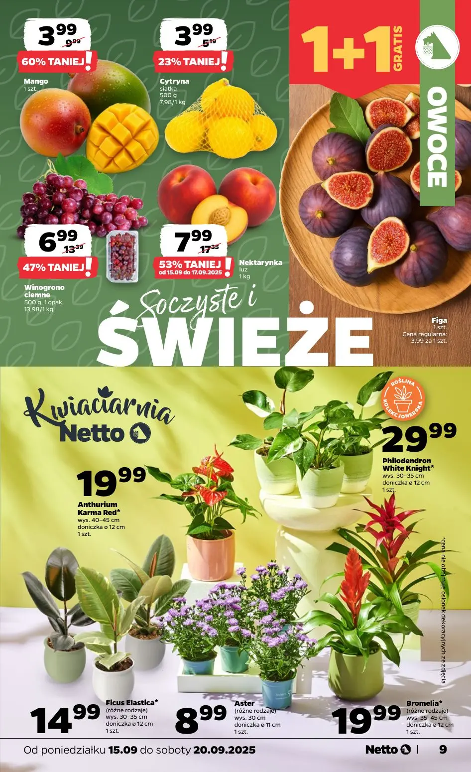 gazetka promocyjna NETTO Tanio i świeżo - Strona 9
