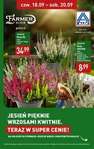 Gazetka promocyjna ALDI, ważna od 2025-09-18 do 2025-09-20.