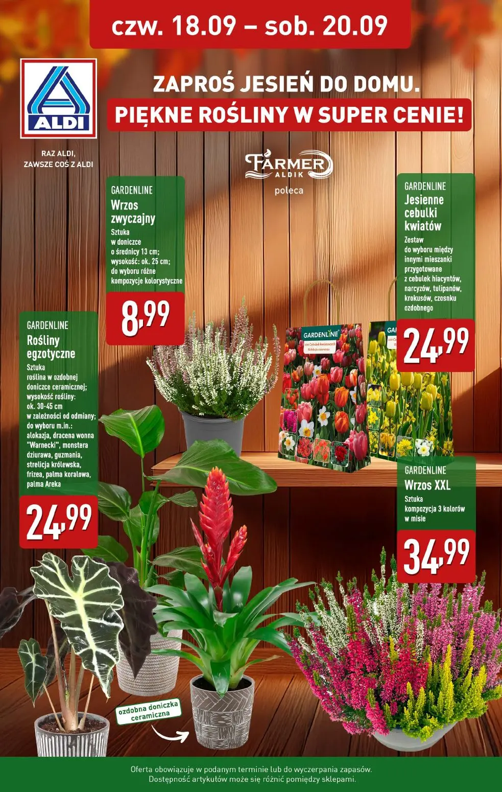 gazetka promocyjna ALDI Farmer Aldik poleca wrzosy - Strona 2