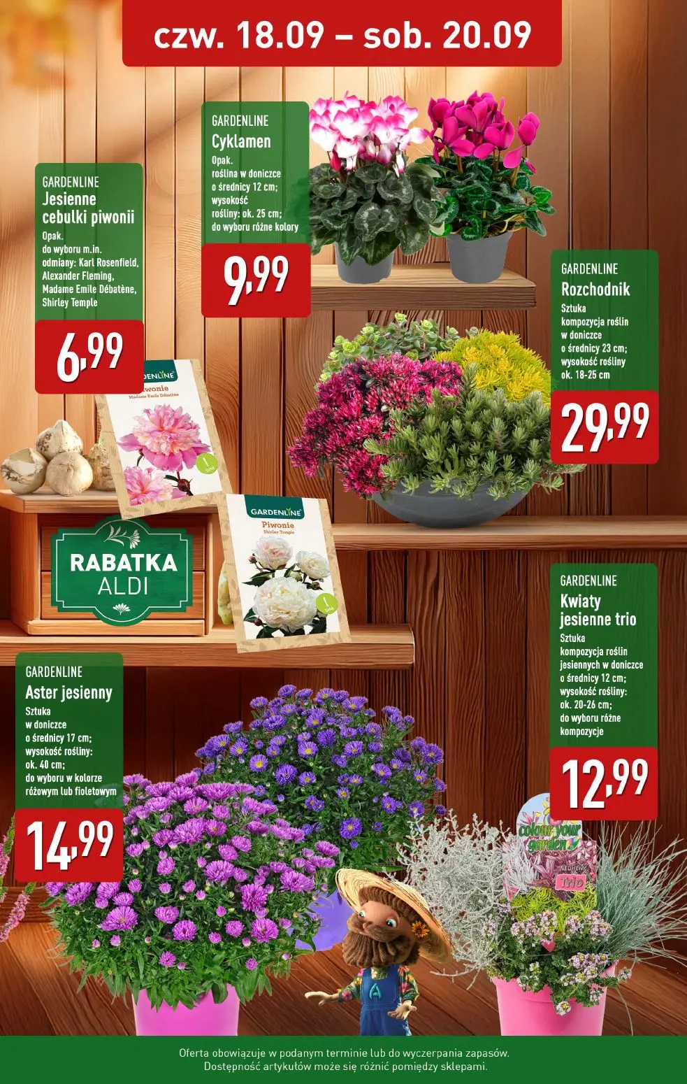 gazetka promocyjna ALDI Farmer Aldik poleca wrzosy - Strona 3