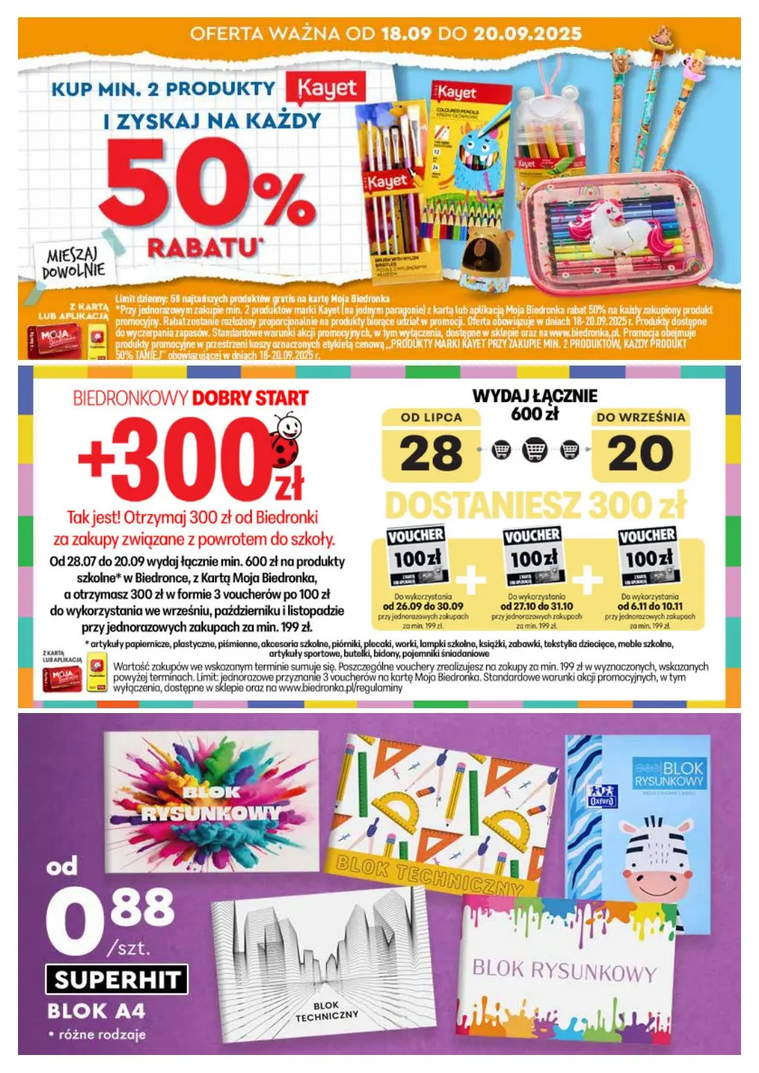 gazetka promocyjna Biedronka Biedronkowe oszczędności - Strona 10