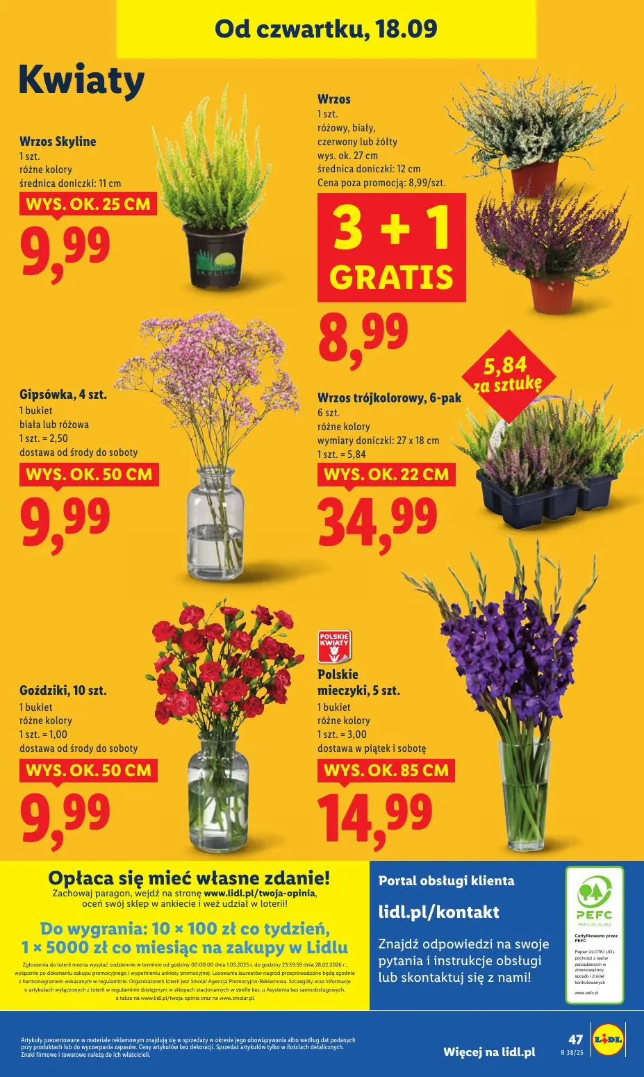 gazetka promocyjna LIDL Najświeższe okazje - Strona 55