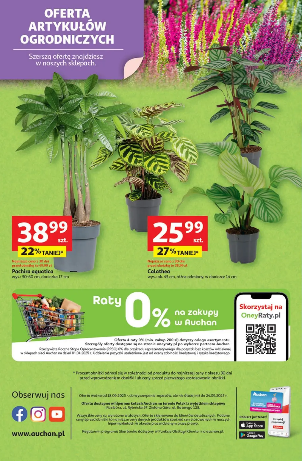 gazetka promocyjna Auchan Pewność niskich cen - Strona 45
