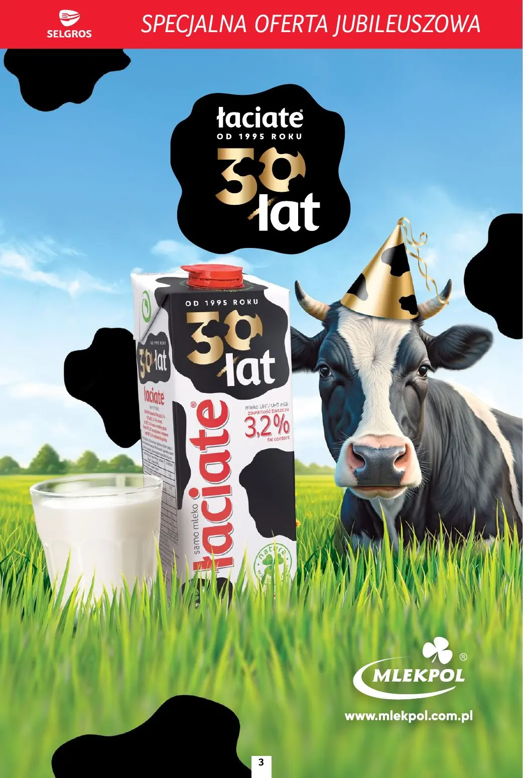 gazetka promocyjna SELGROS Specjalna Oferta Jubileuszowa - Strona 3