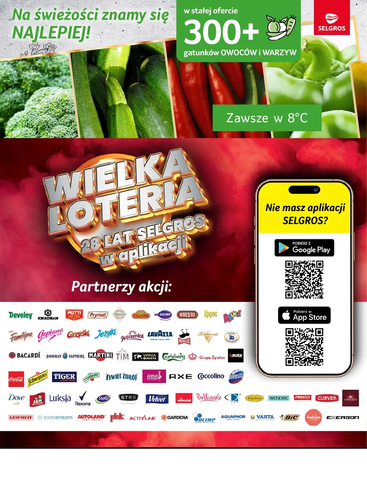 gazetka promocyjna SELGROS Oferta Spożywcza - Strona 2