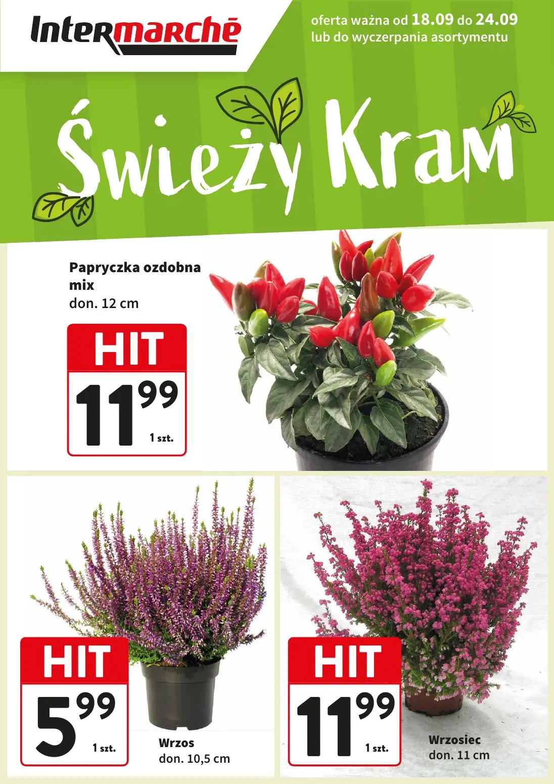 gazetka promocyjna Intermarche Świeży Kram - Strona 1