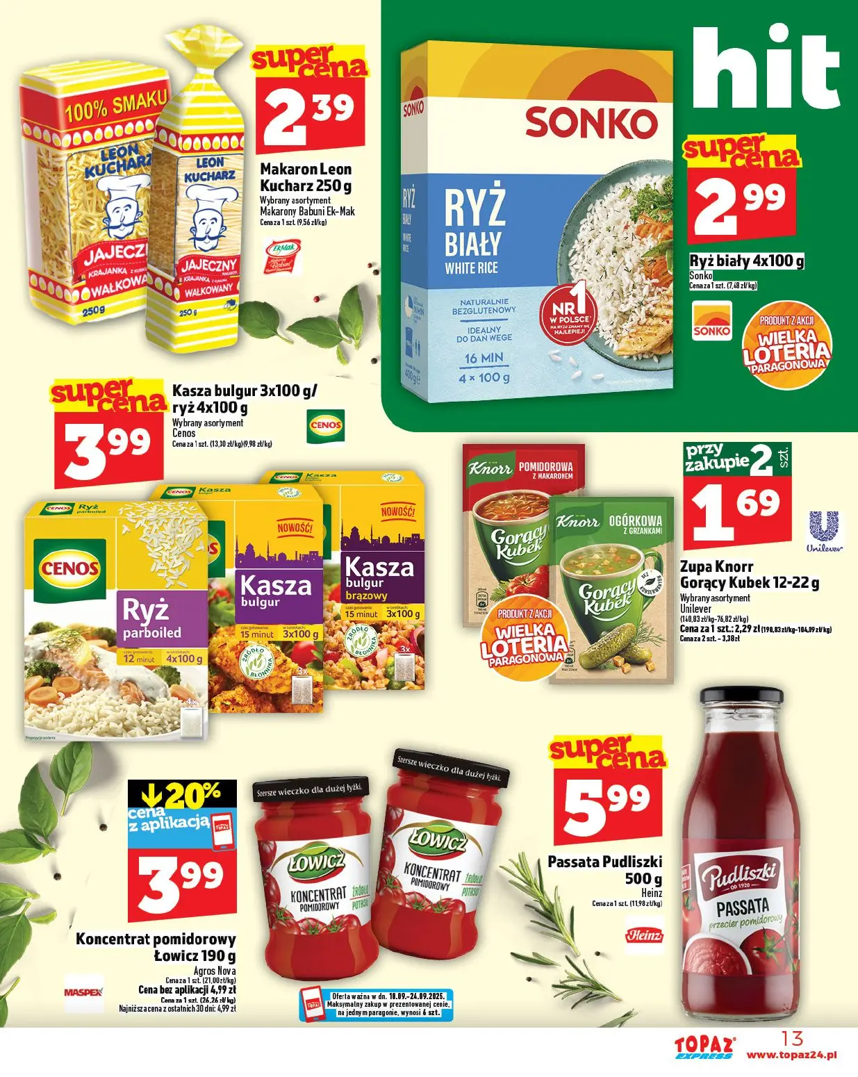 gazetka promocyjna Topaz Express - Strona 13