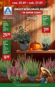 Gazetka promocyjna ALDI, ważna od 2025-09-22 do 2025-09-27.