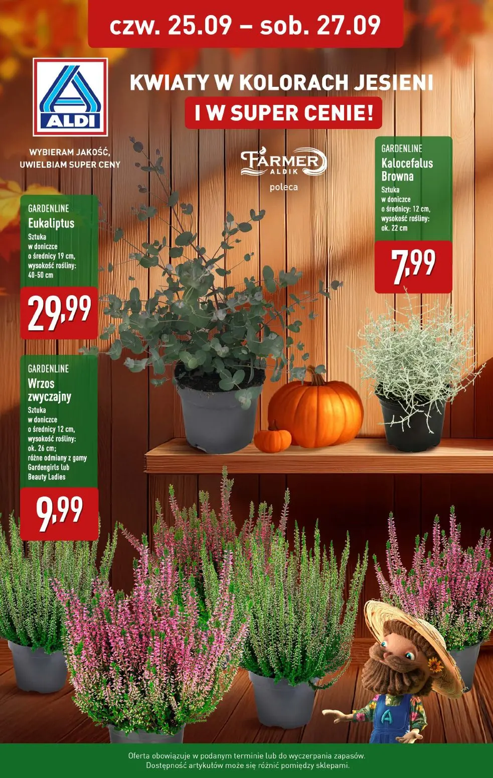 gazetka promocyjna ALDI  - Strona 1