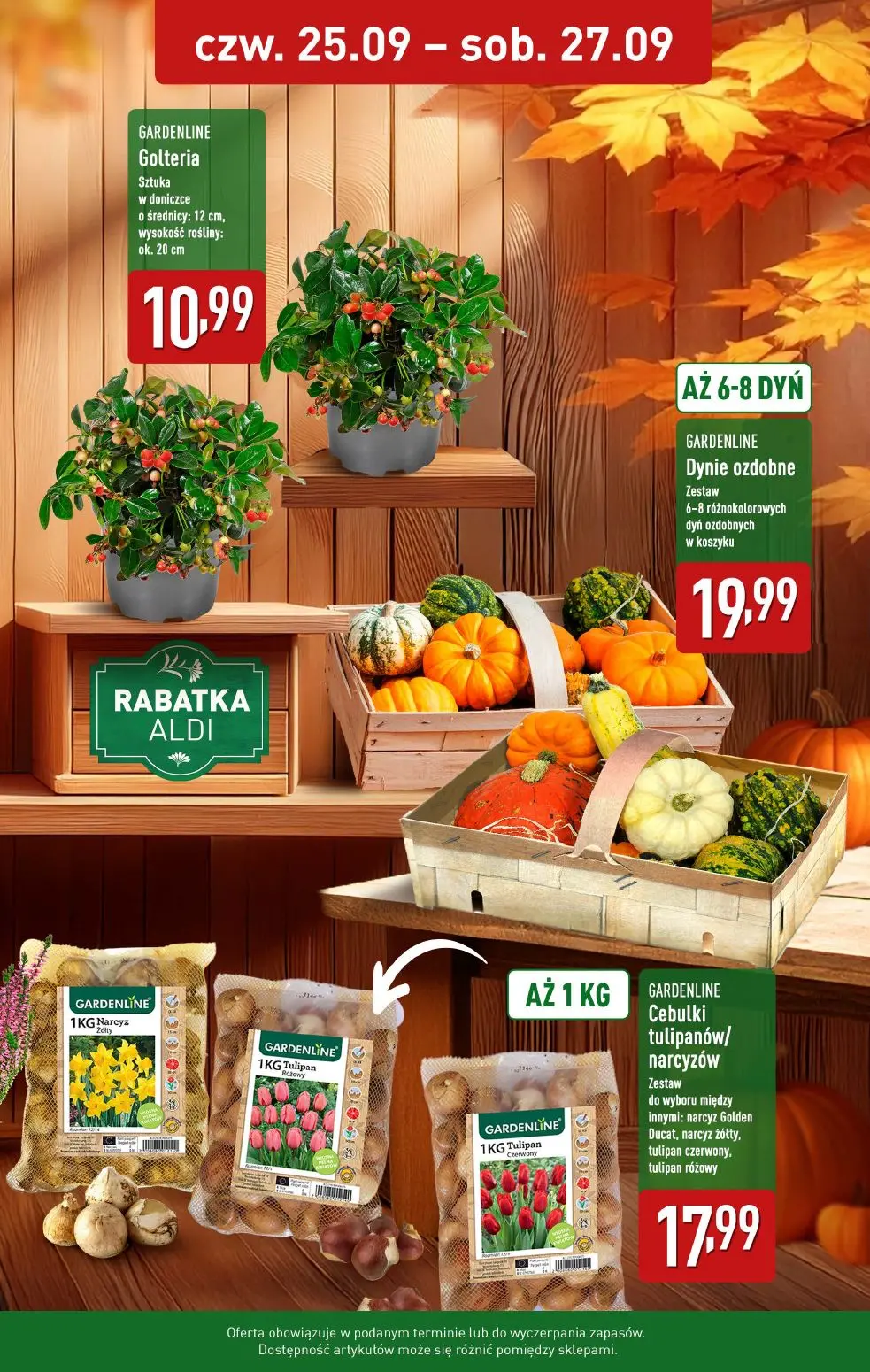 gazetka promocyjna ALDI  - Strona 2