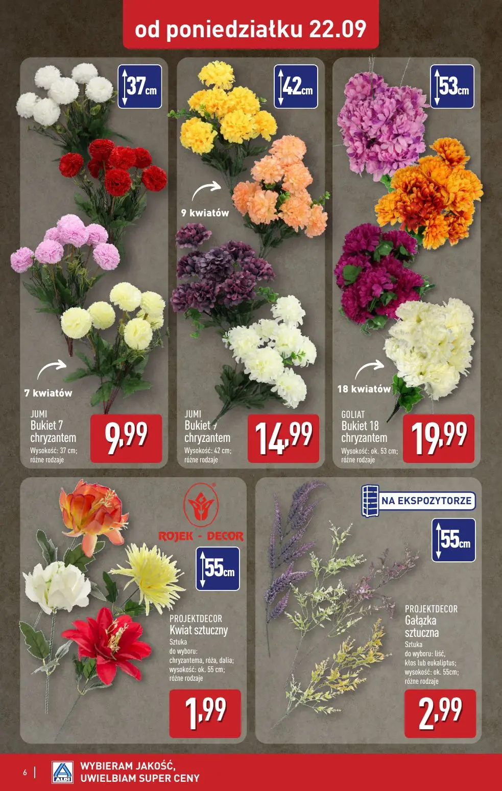 gazetka promocyjna ALDI  - Strona 6