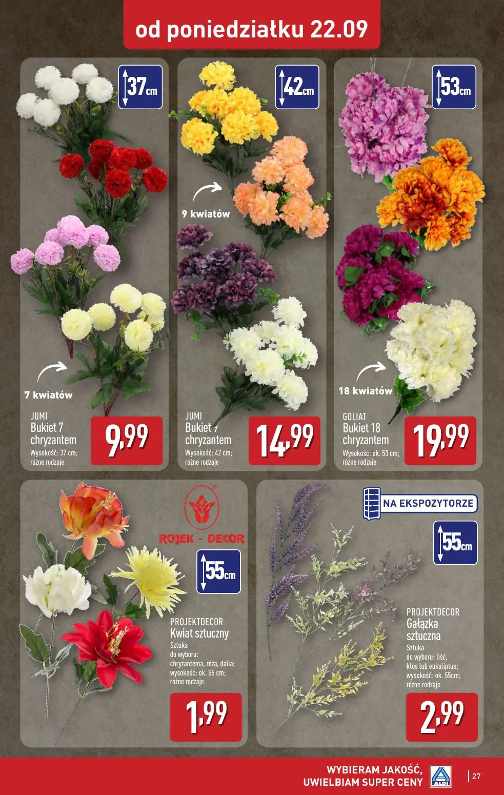 gazetka promocyjna ALDI Raz ALDI, zawsze coś z ALDI - Strona 27