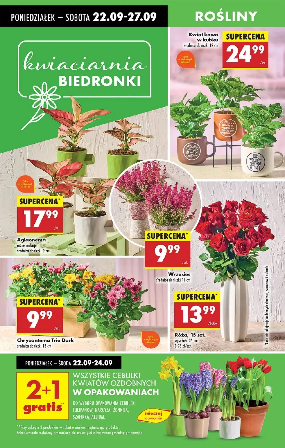 gazetka promocyjna Biedronka Od poniedziałku - Strona 68