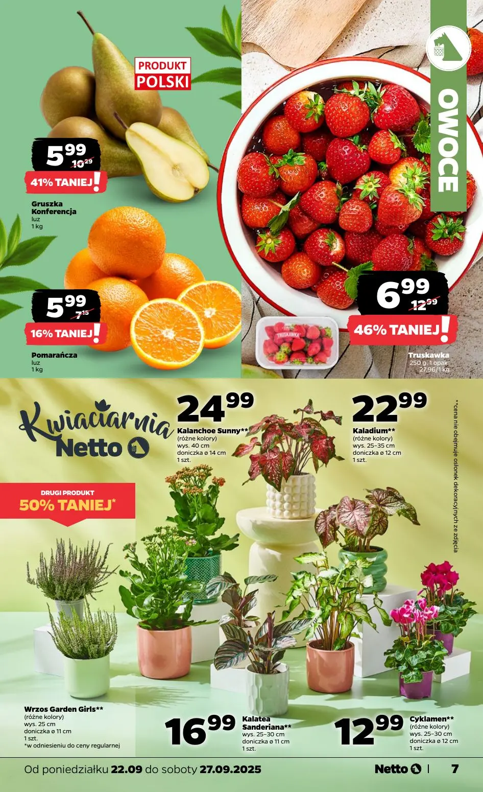 gazetka promocyjna NETTO Tanio i świeżo - Strona 7